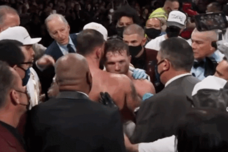 Canelo-en-plant-768x512