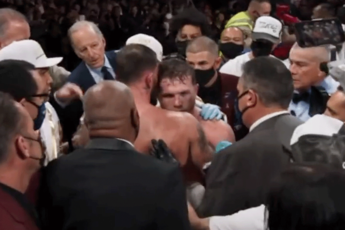 Canelo-en-plant