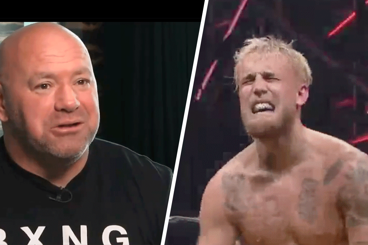 jake-paul-uitgedaagt-door-dana-white