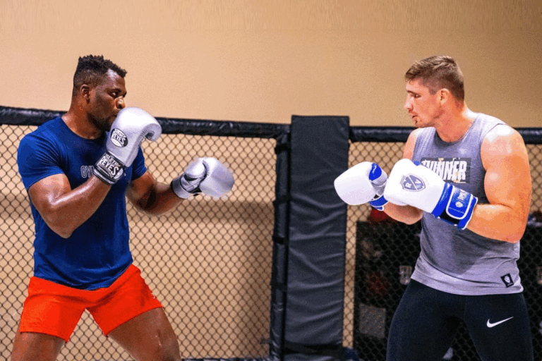 Francis-Ngannou-1-jaar-buiten-spel-768x512
