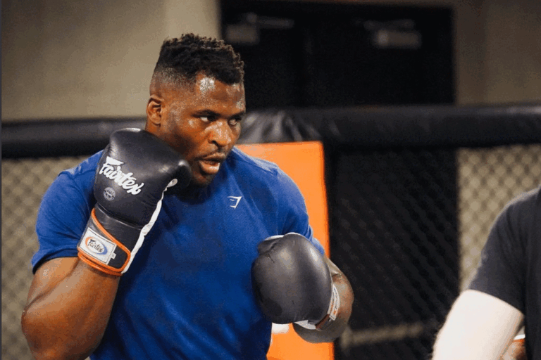 Francis-Ngannou-1-1-768x512