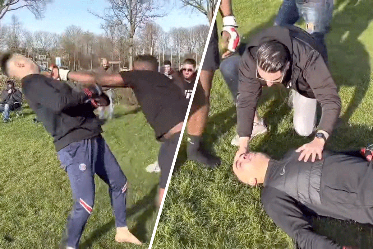 Hoodfights-Tiel