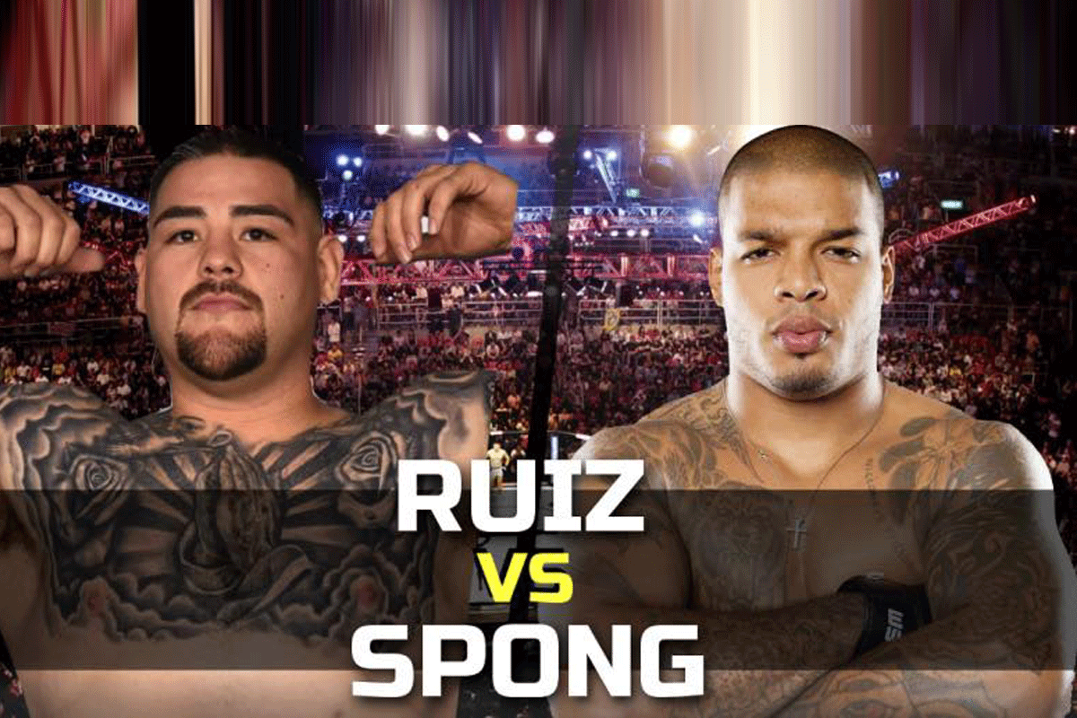 Kritiek-op-spong-vs-ruiz
