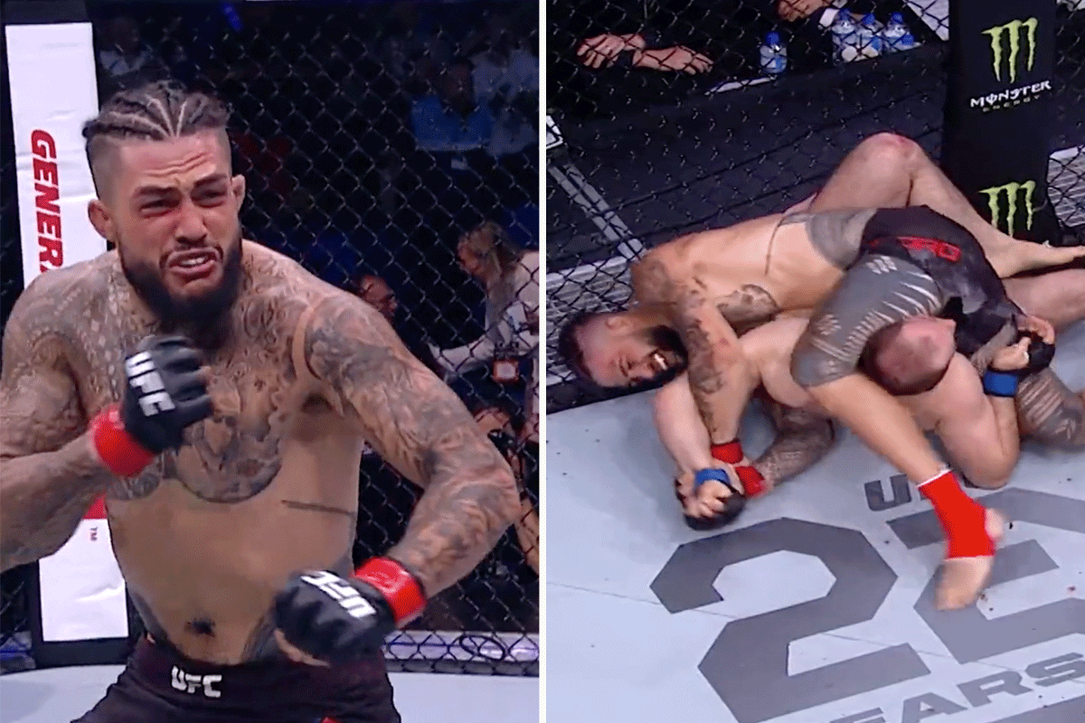 Tyson-Pedro