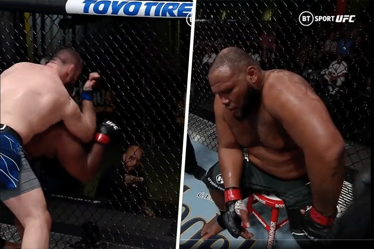 buday-vs-barnett