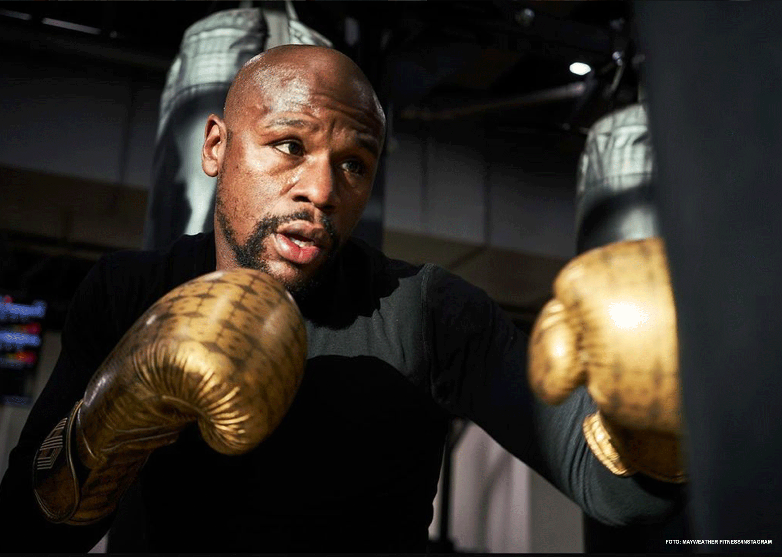 floyd-mayweather-logan-paul