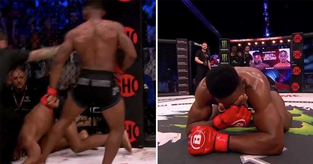 Paul-Daley