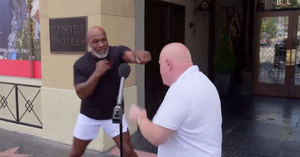 Mike-Tyson-fan