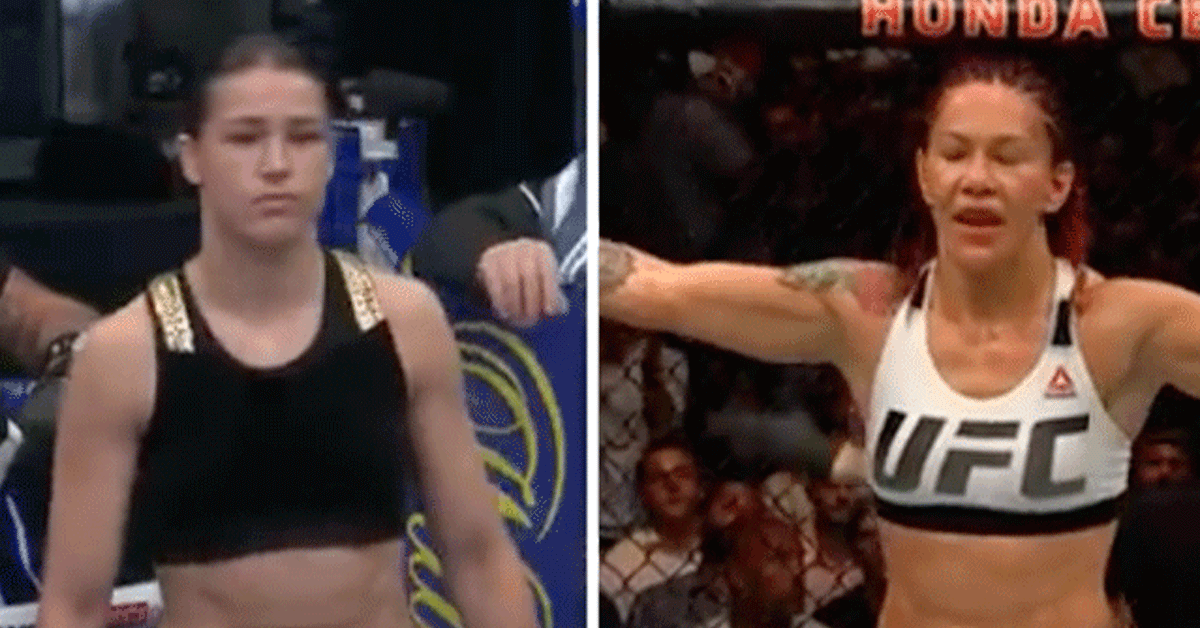 taylor-vs-cyborg