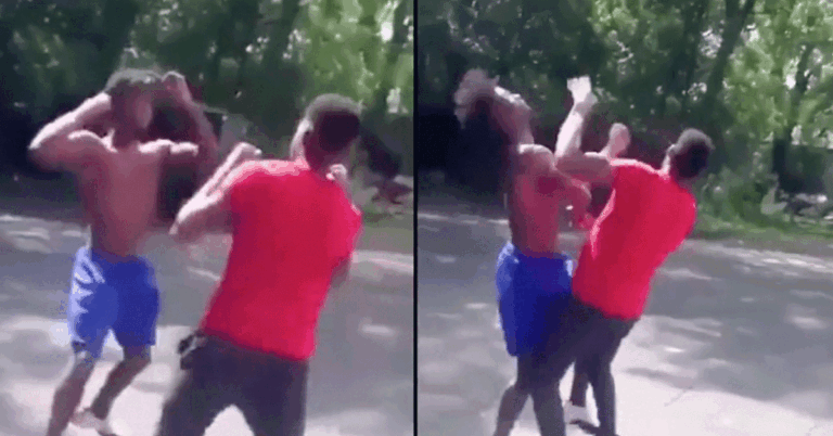 eigen-knockout-768x402
