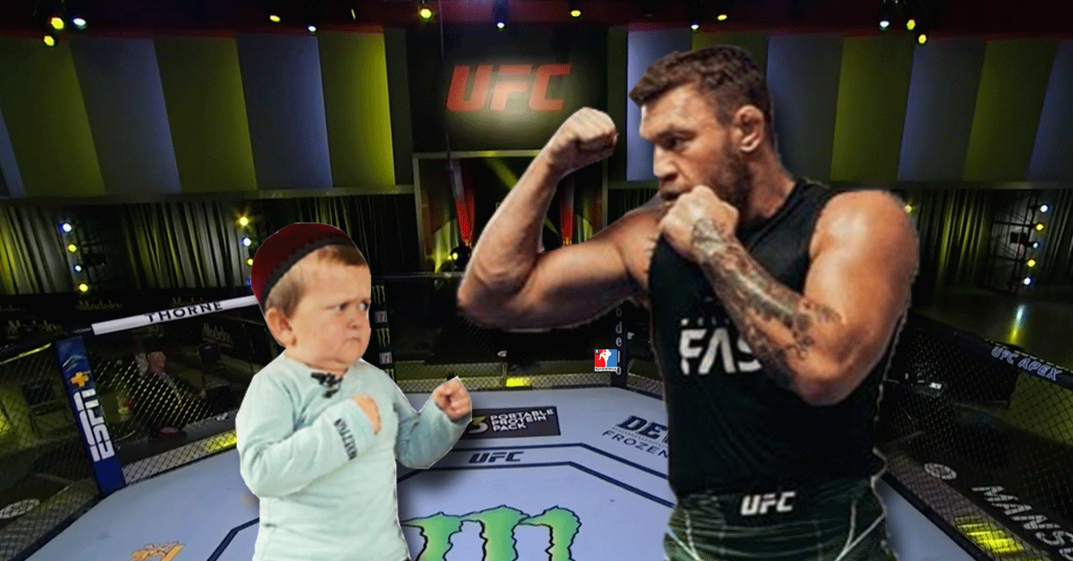 Hasbulla-vs-McGregor