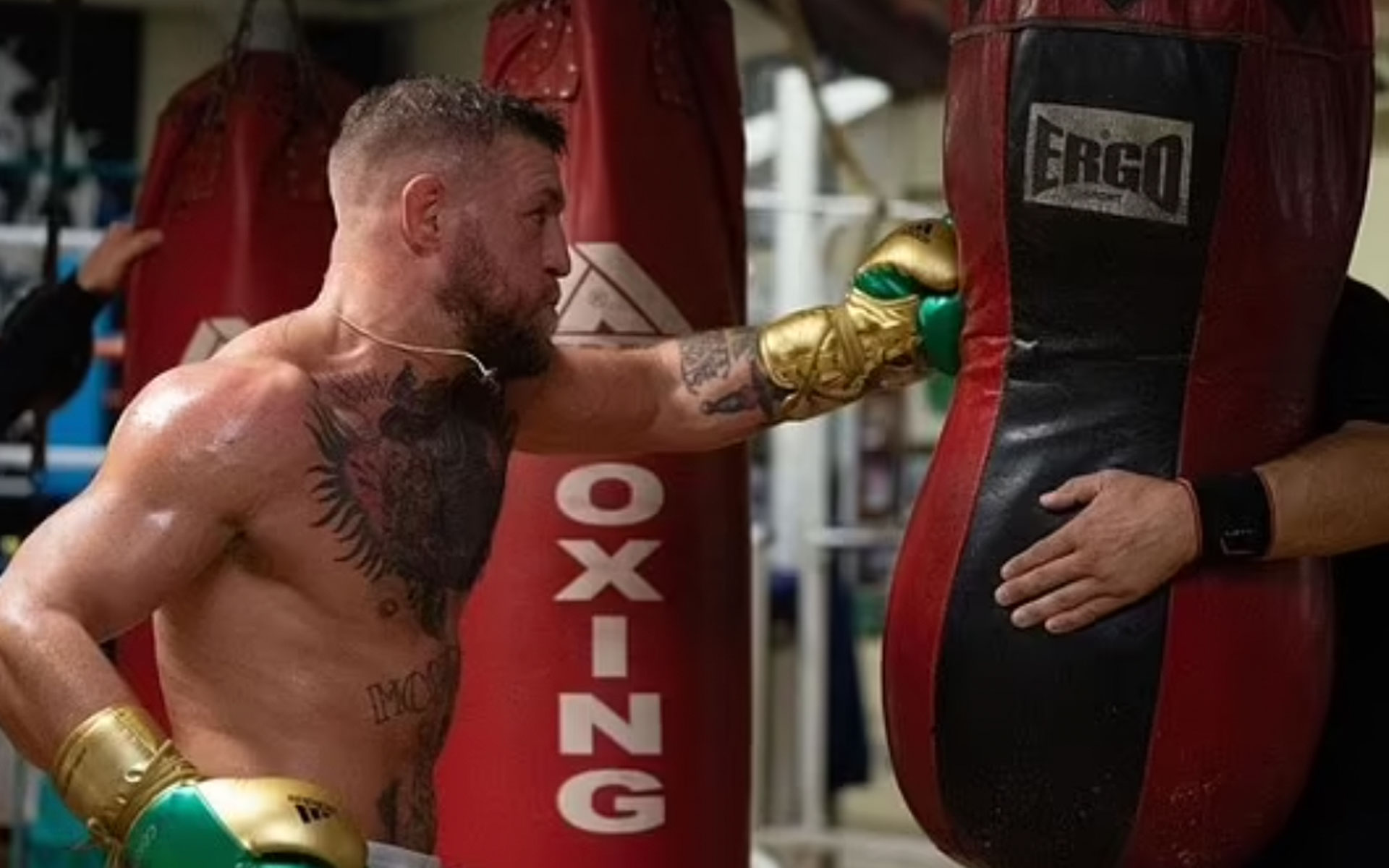conor-mcgregor-63dd895de1890