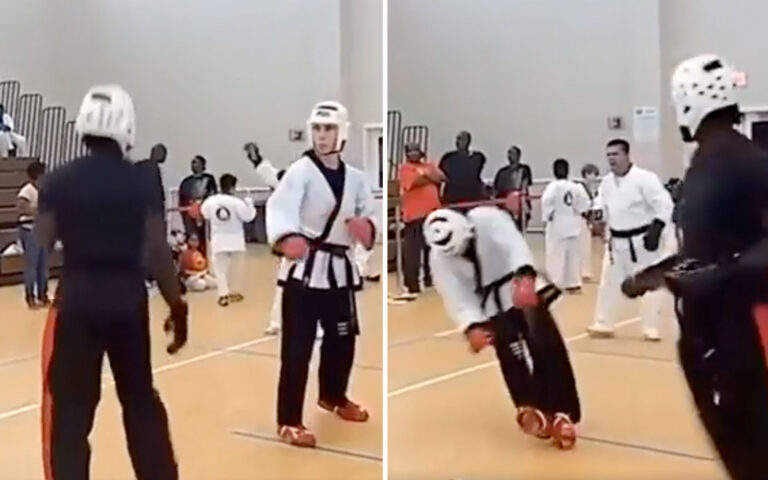 taekwondo-63f78561c4a07-768x480