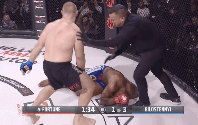 bellator-64439fad587ff-768x485