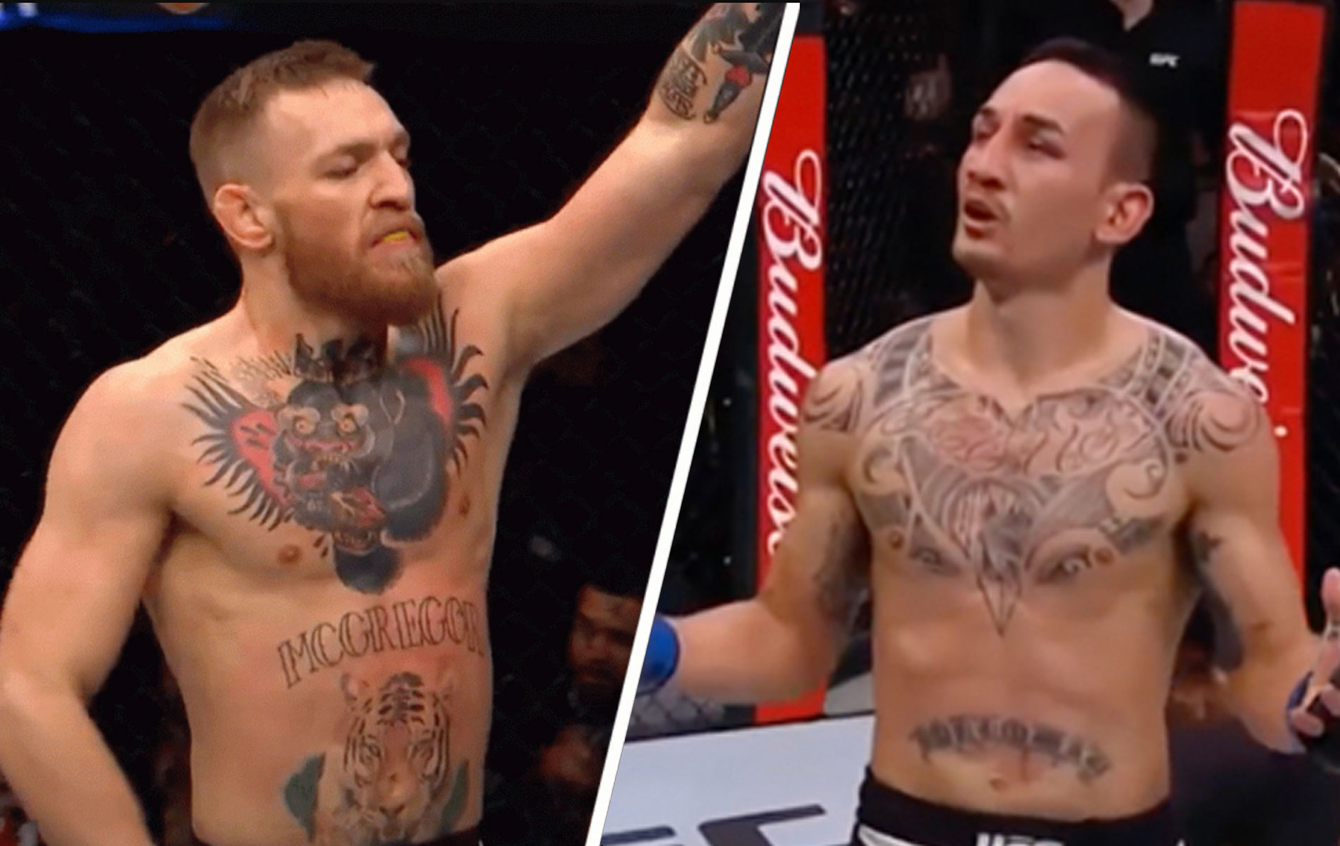 holloway-mcgregor-644768f8d69f8
