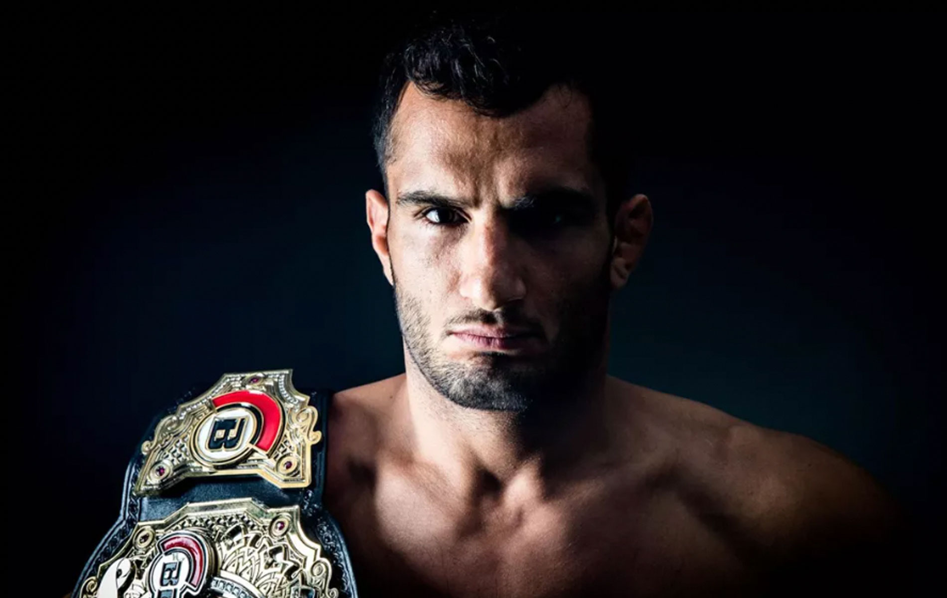 gegard-mousasi-645b363a2cebd