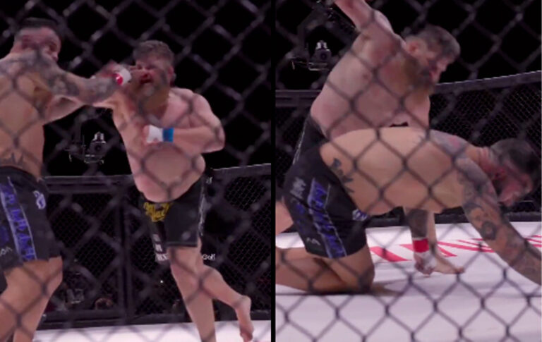 roy-nelson-64562d89e1708-768x485