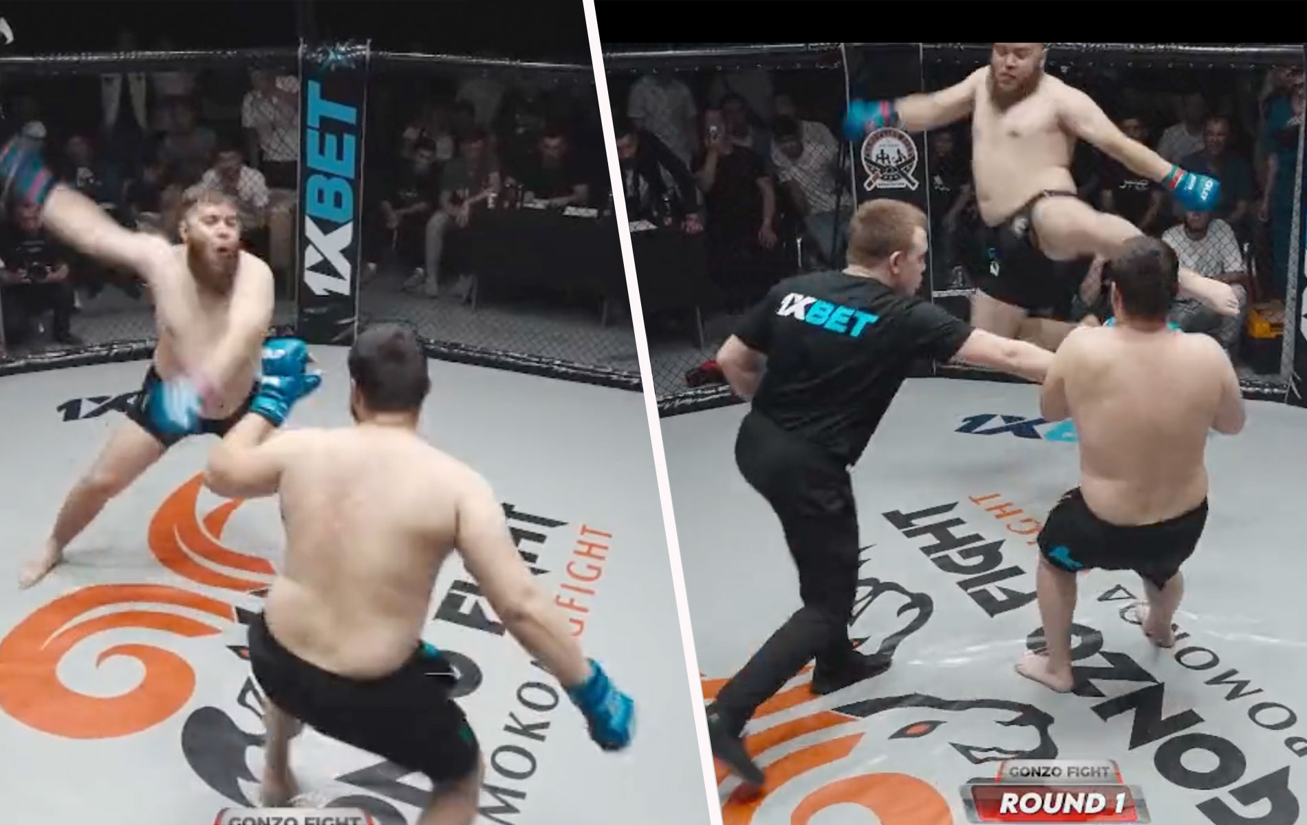 gonzo-fight-648ac1c44fbdb
