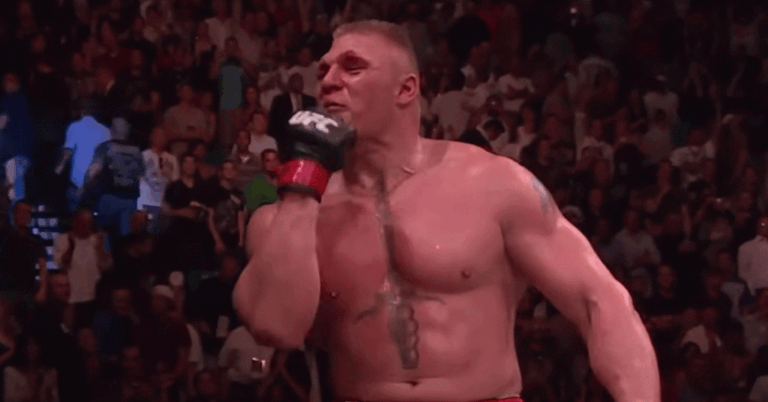 Brock-Lesnar-1024x536-63d00cf940e22-768x402