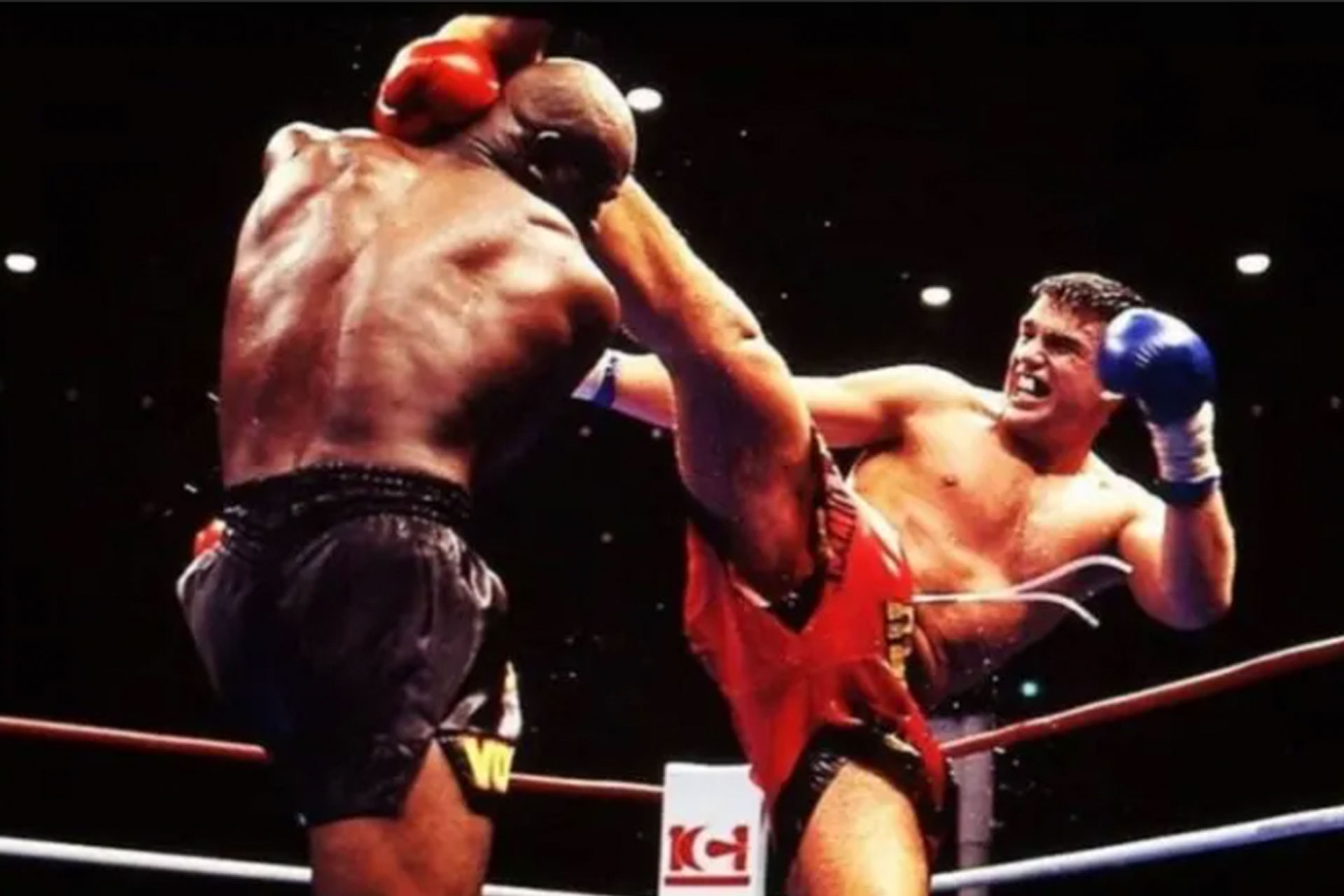 peter-aerts-657afc63d9329