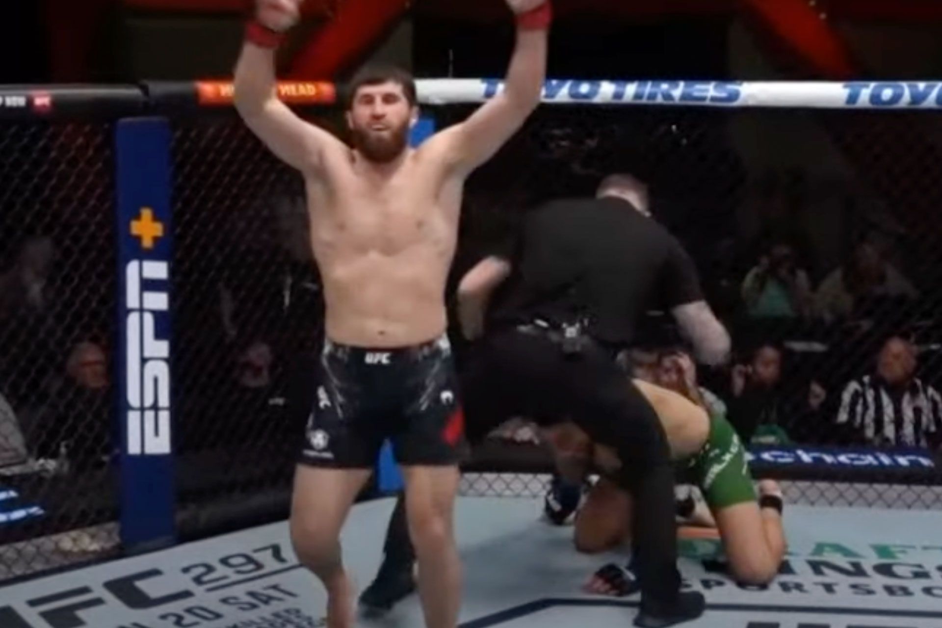 ankalaev slaat walker ko