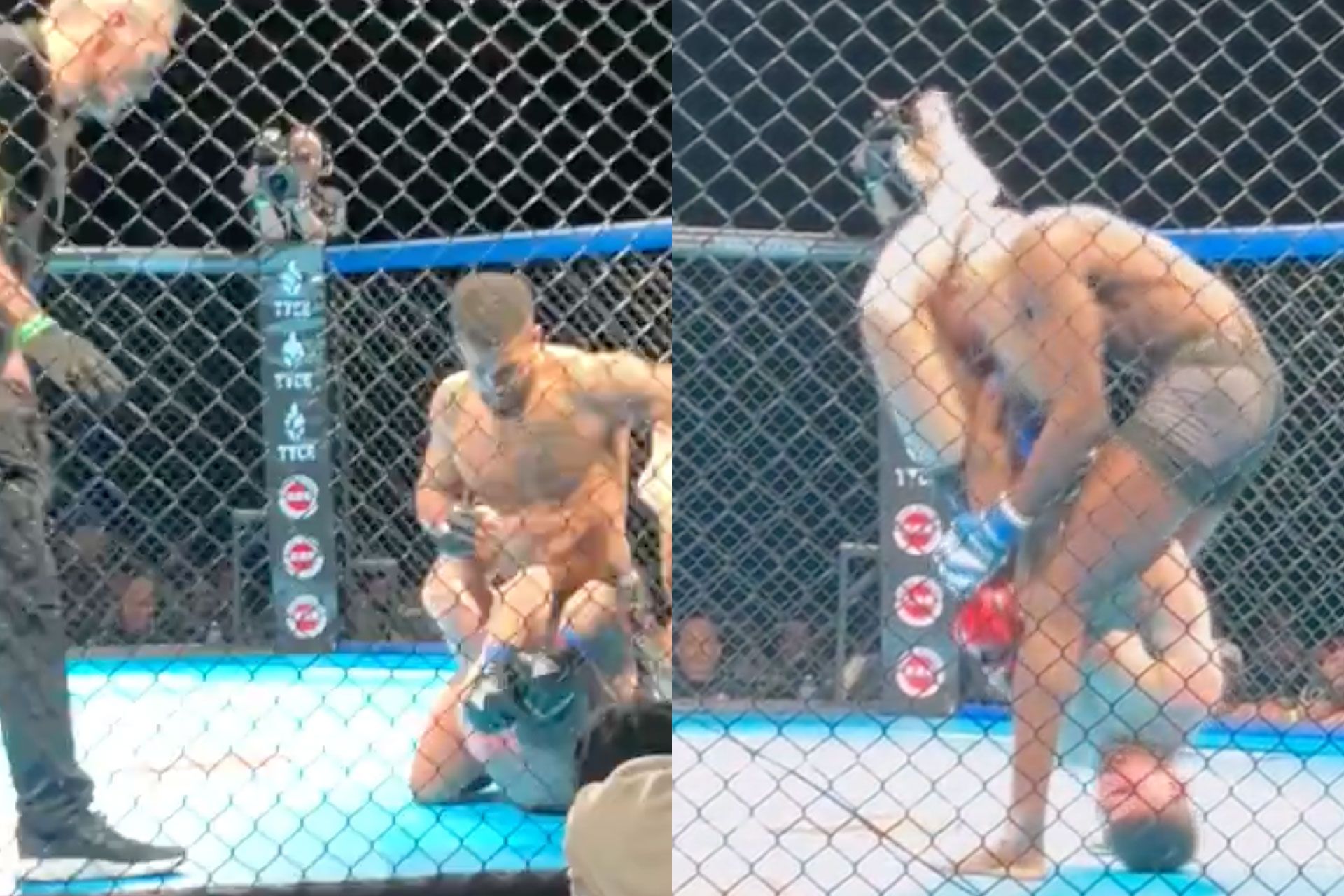 mma-bushido-65a3c294ded49
