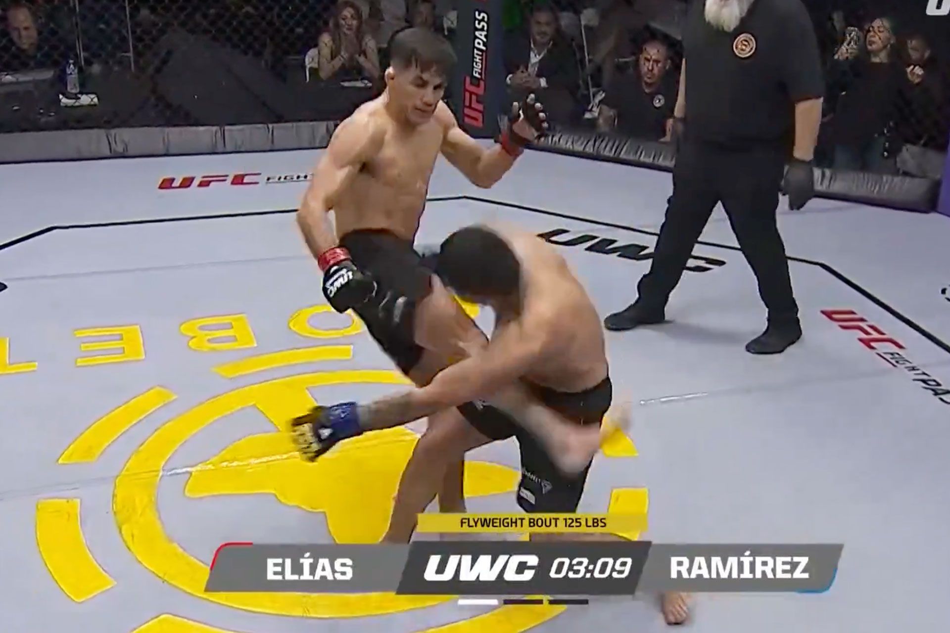 luis-elias-65dc9c4faba21