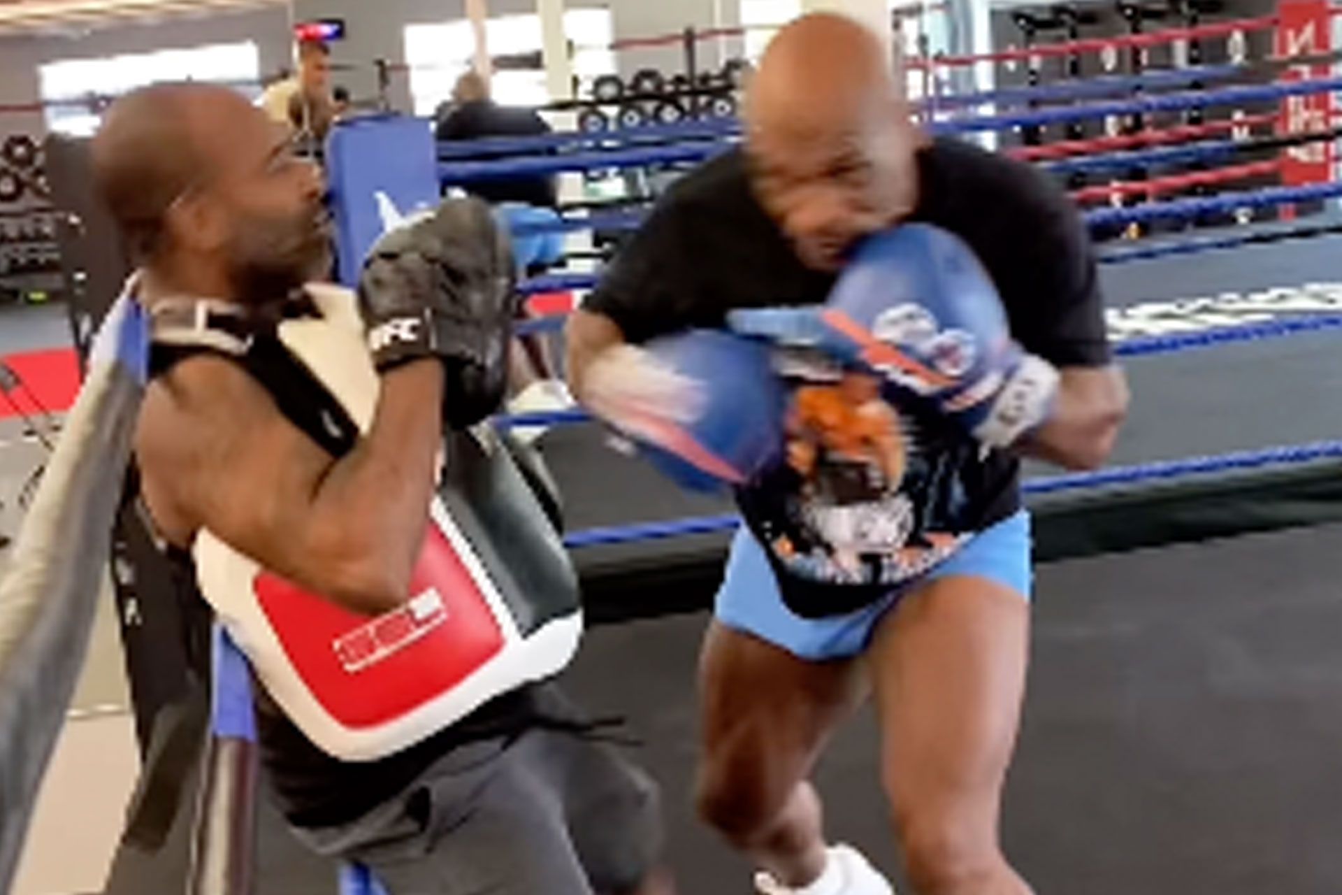 mike-tyson-65ce158b6d8d2