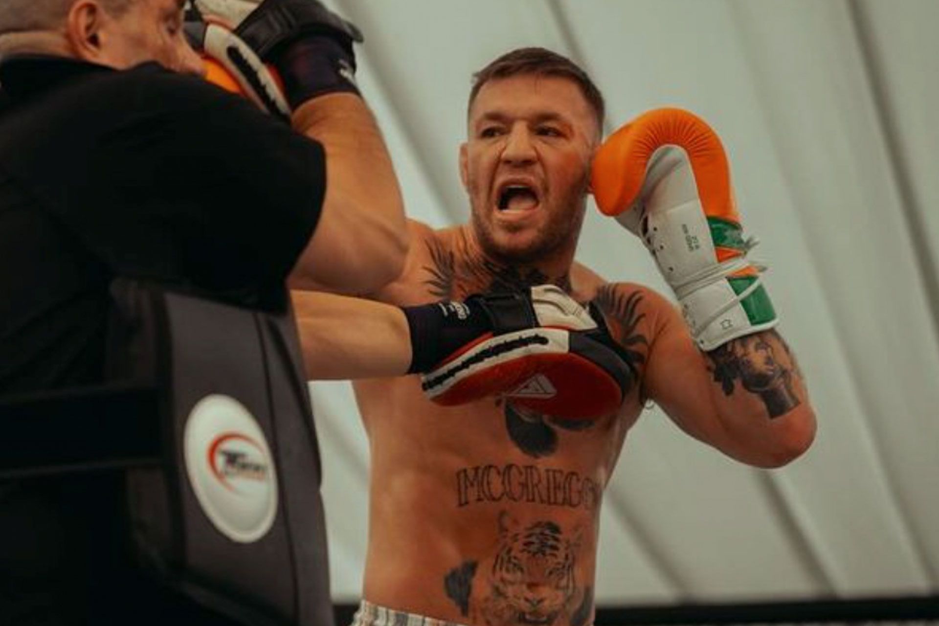 conor-mcgregor-6620c6fcc042d