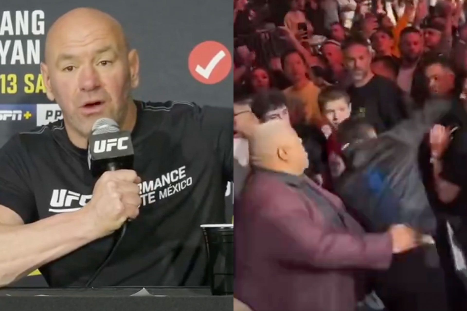 dana-white-661c2c4098d6f