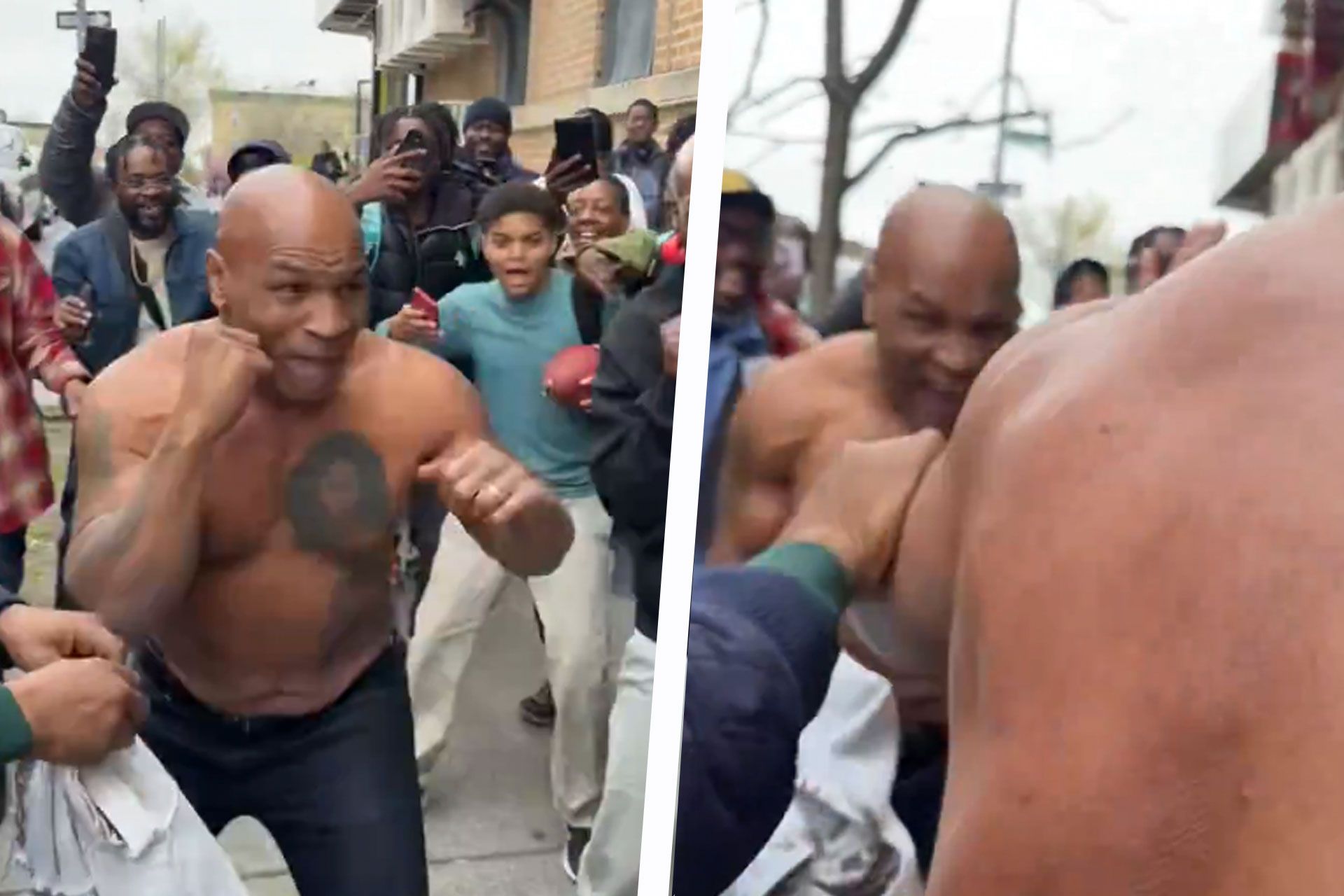 mike-tyson-6623523c7ab67