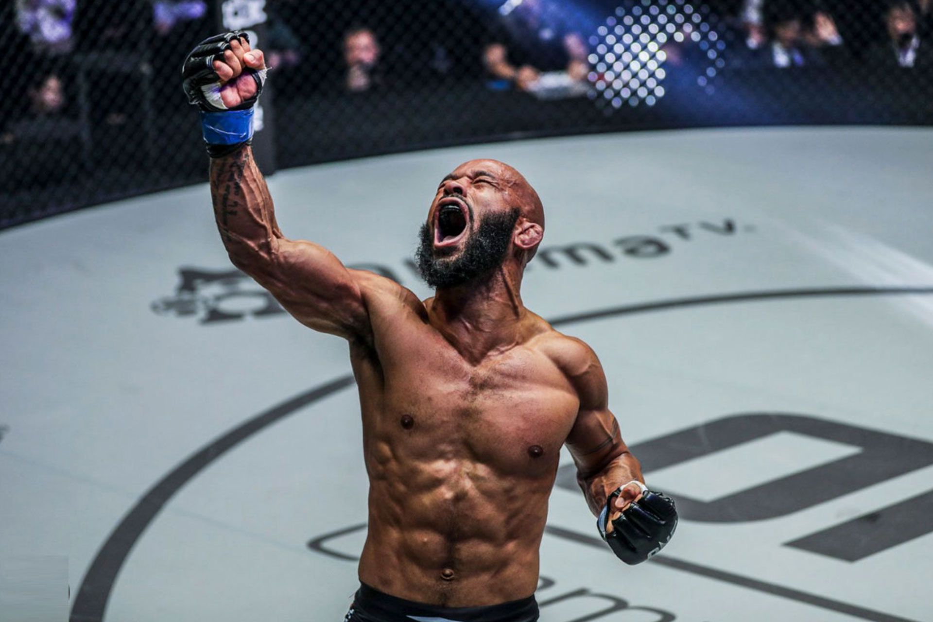 demetrious-johnson-6658ecc0341e3