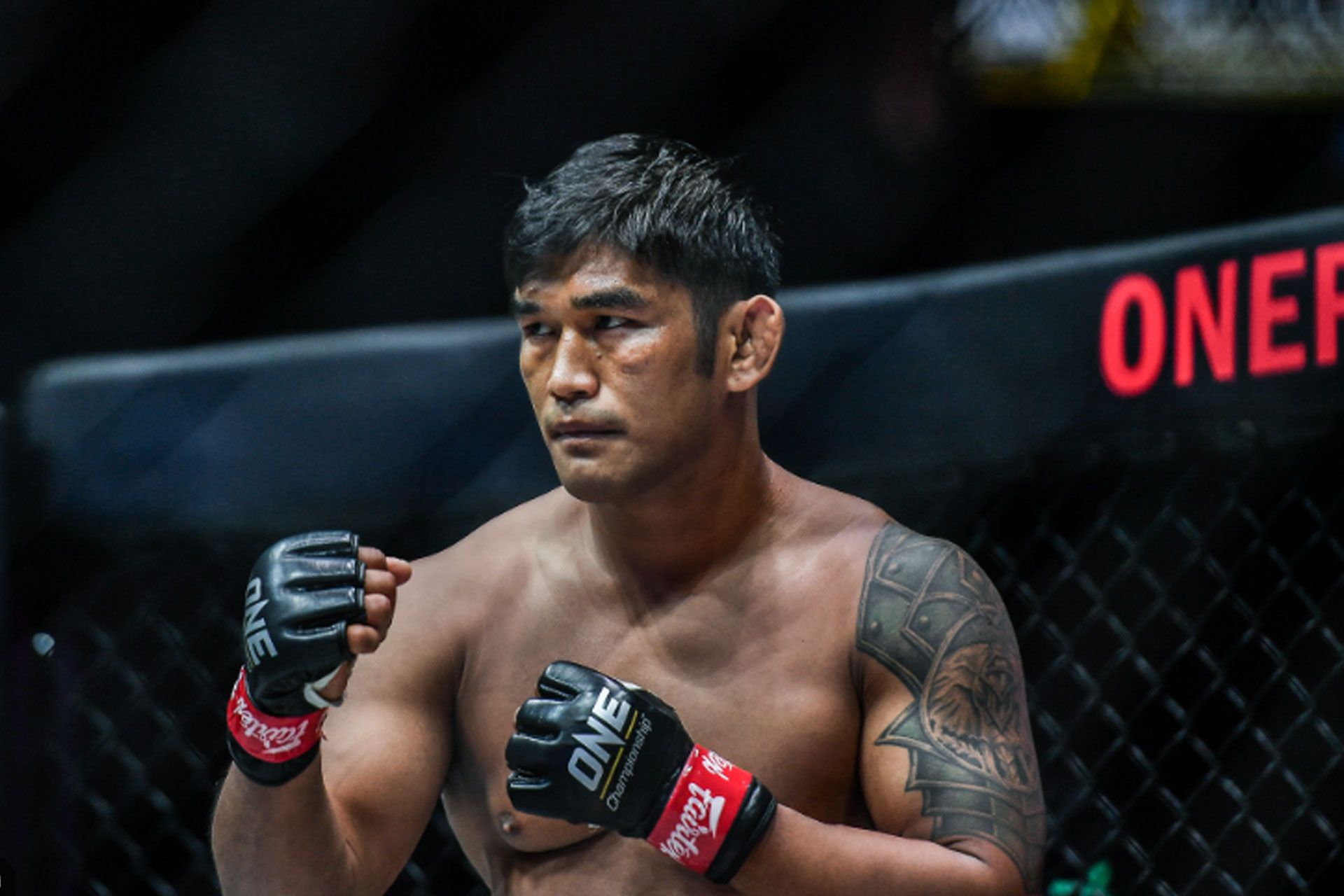 aung-la-n-sang-66c49b9e7a404