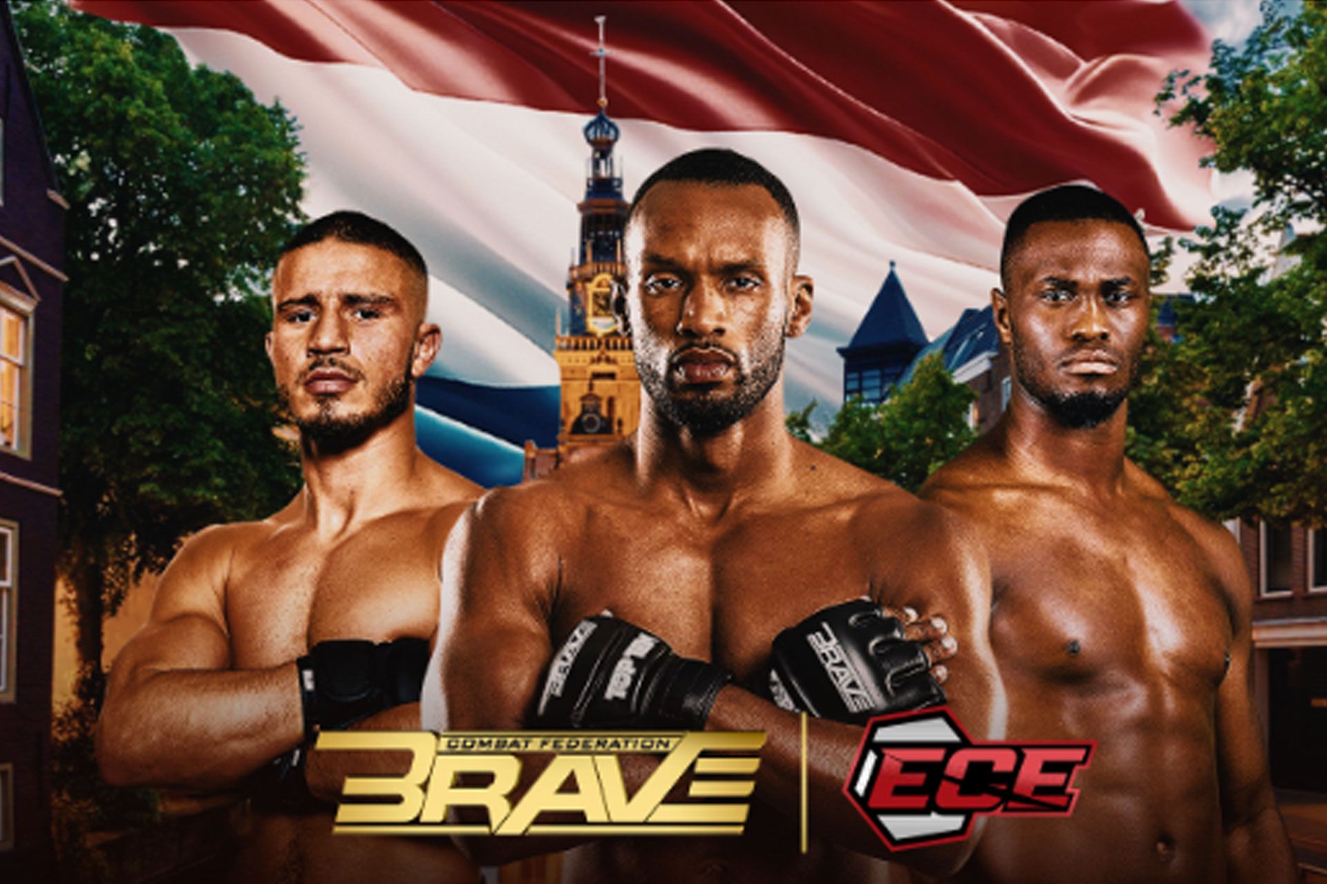 brave-cf-87-66ec0524a3dbd