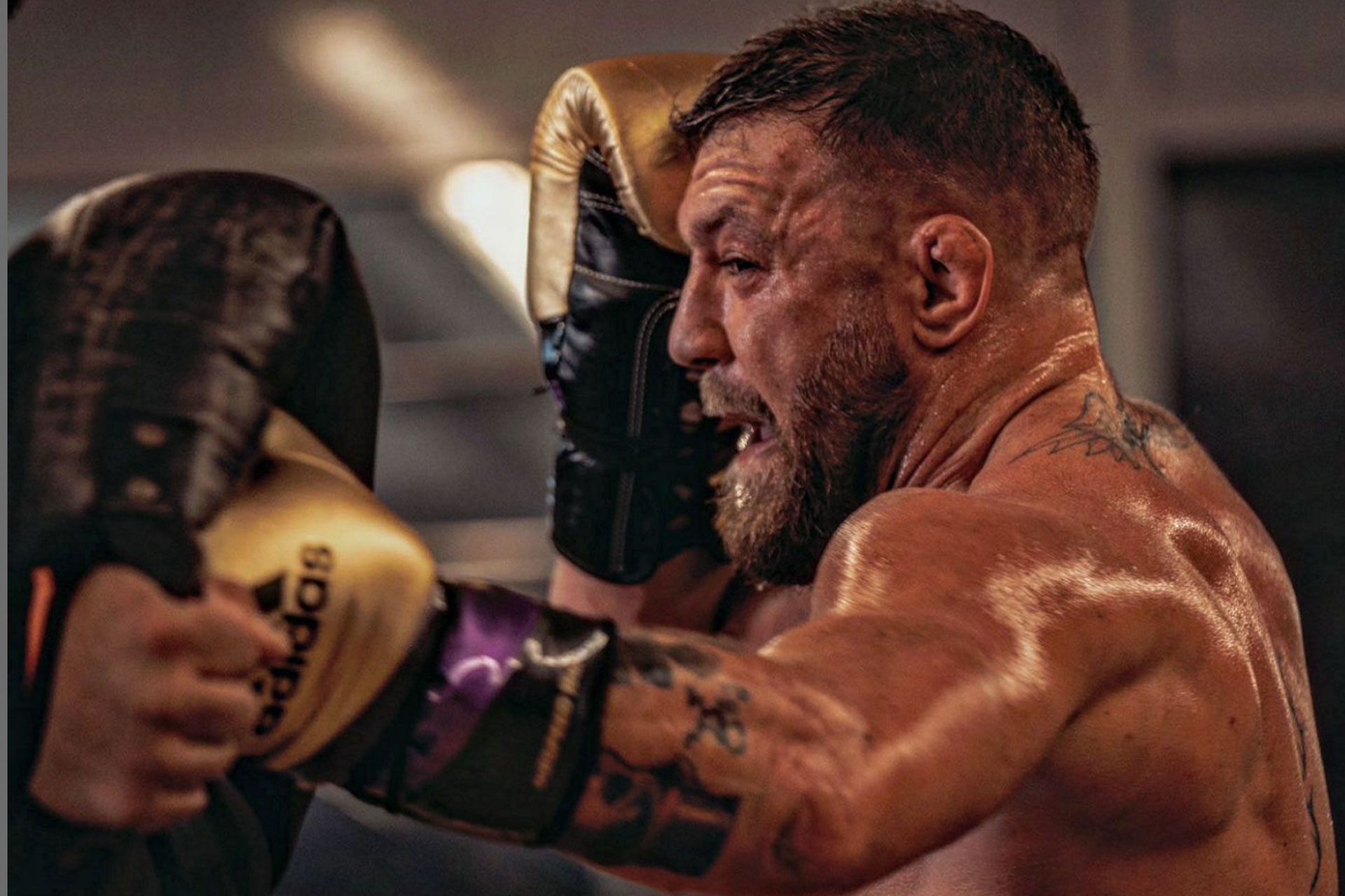 conor mcgregor