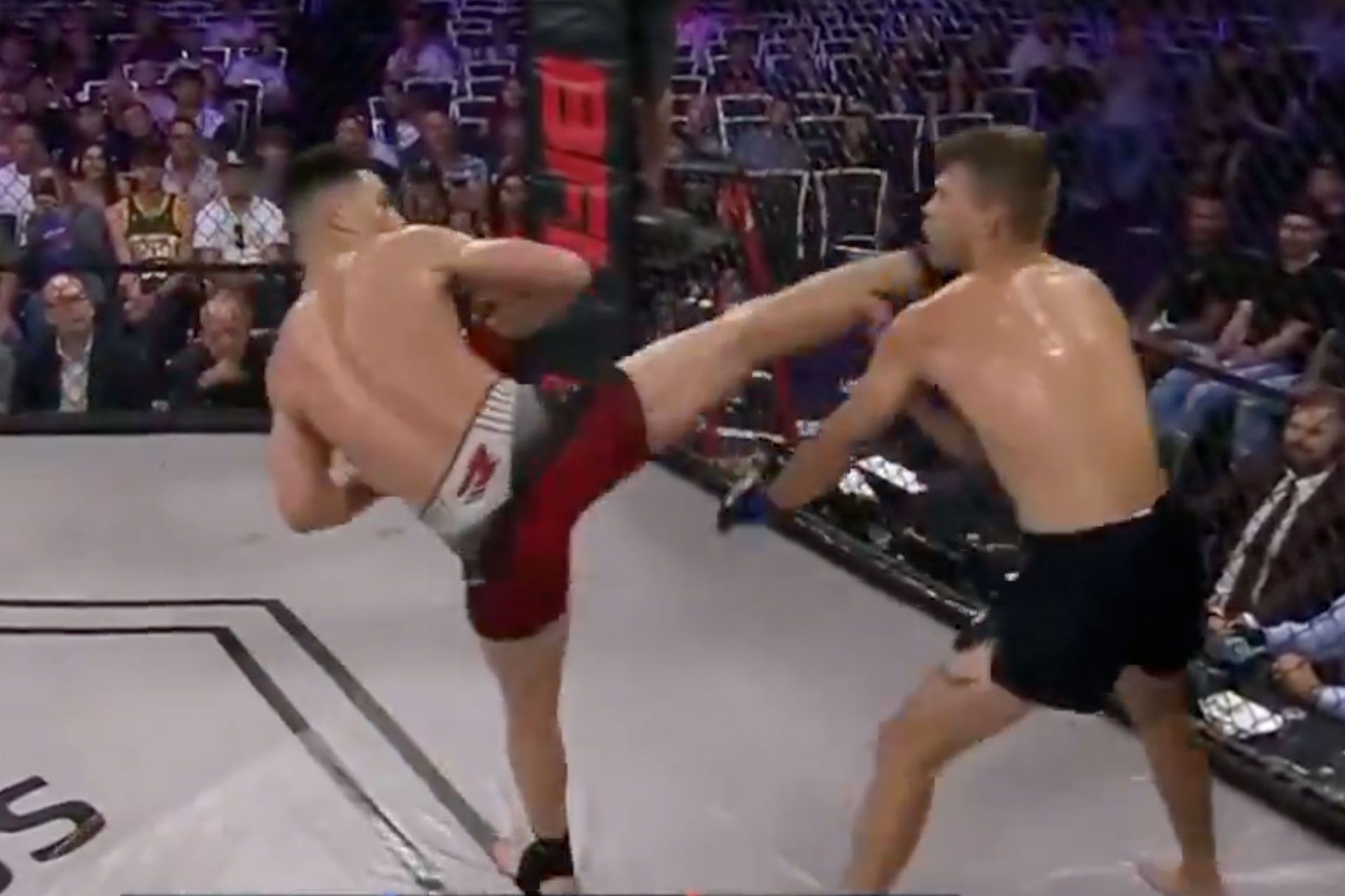 radley-da-silva-66dec5125983a