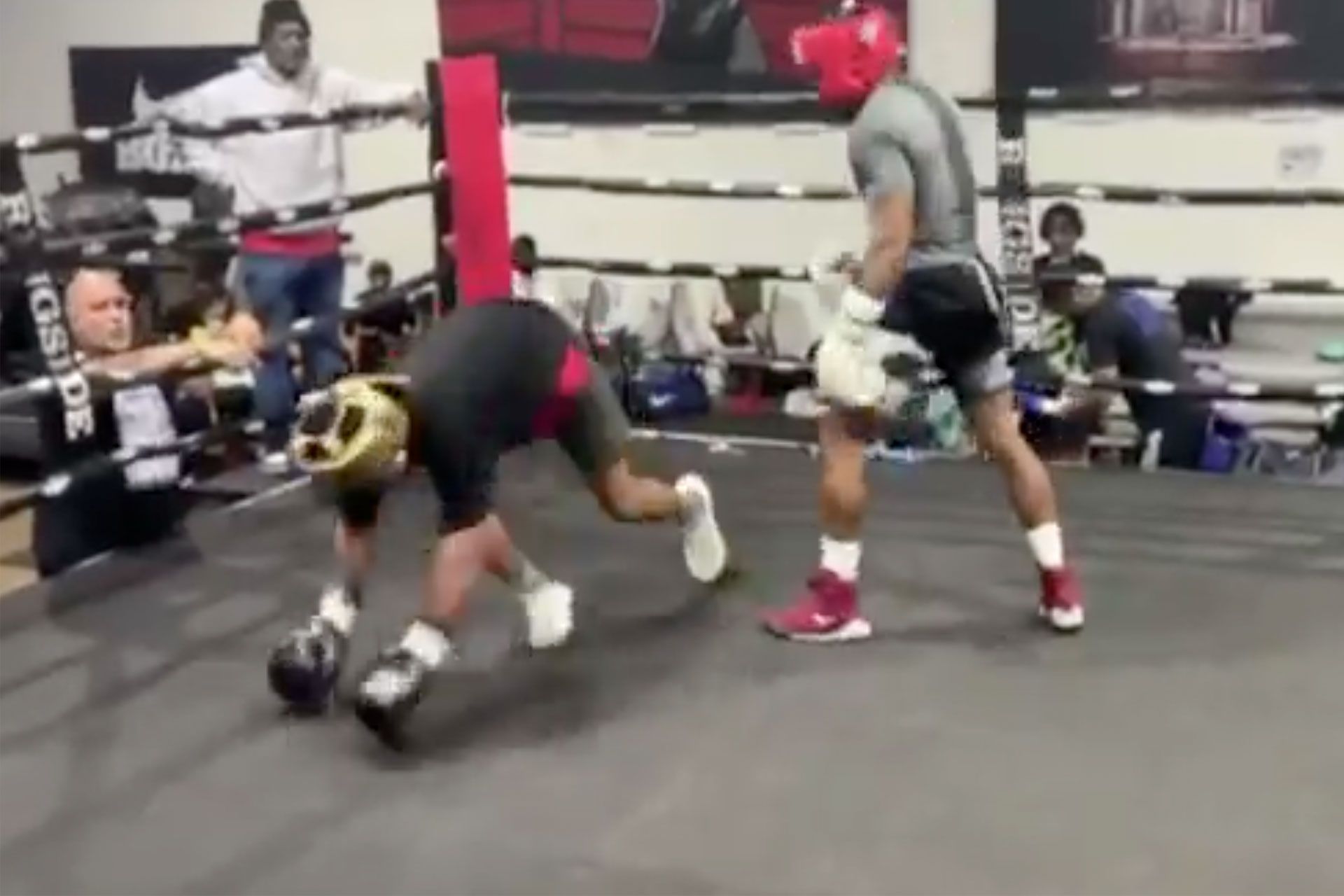 shakur-stevenson-66e57abd911d0