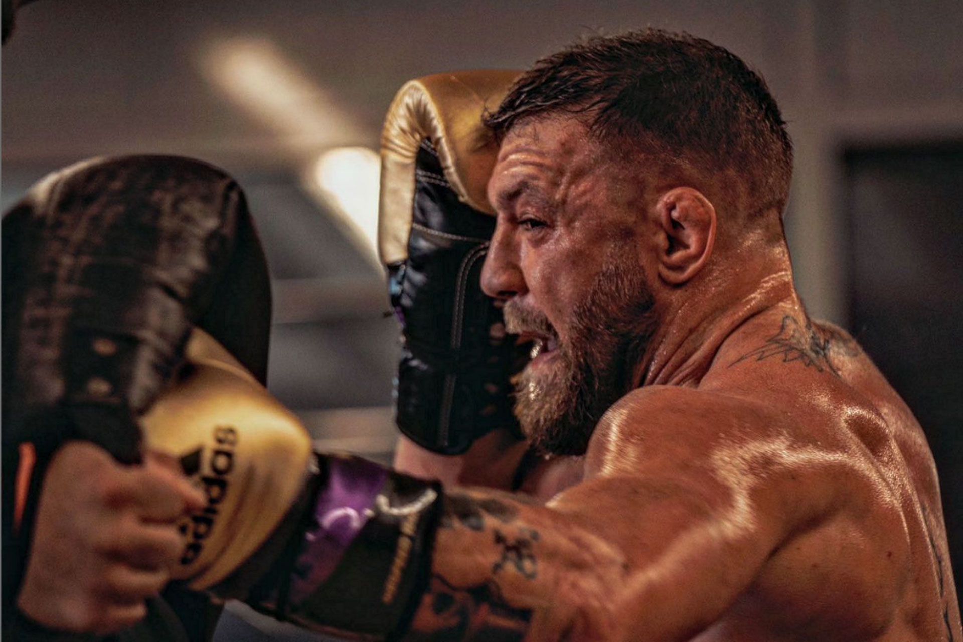 conor-mcgregor-66fe815839bf5