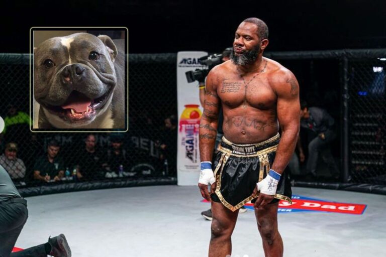 frank-tate-673b1f5742857-768x512
