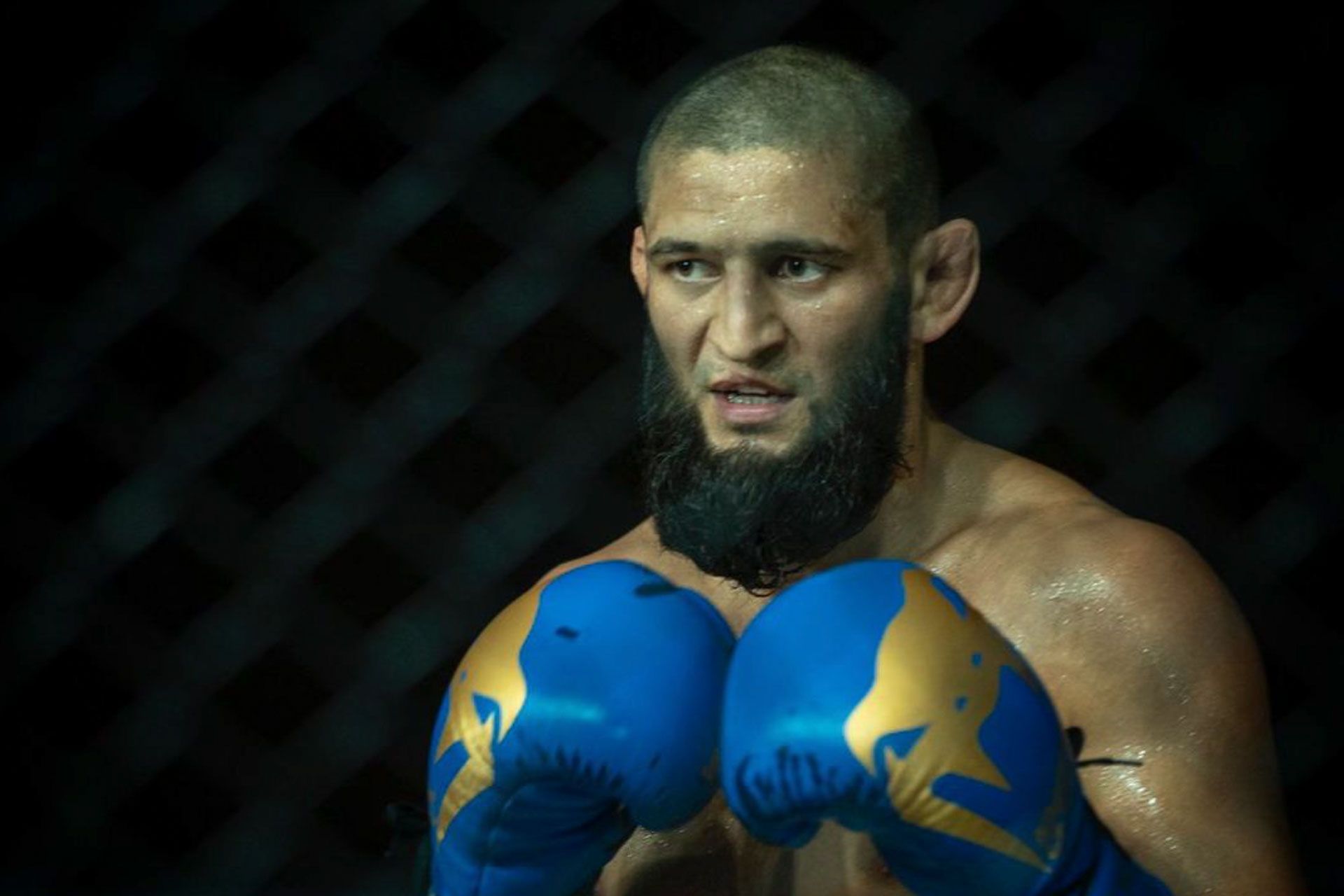 khamzat-chimaev-673527cc0d543