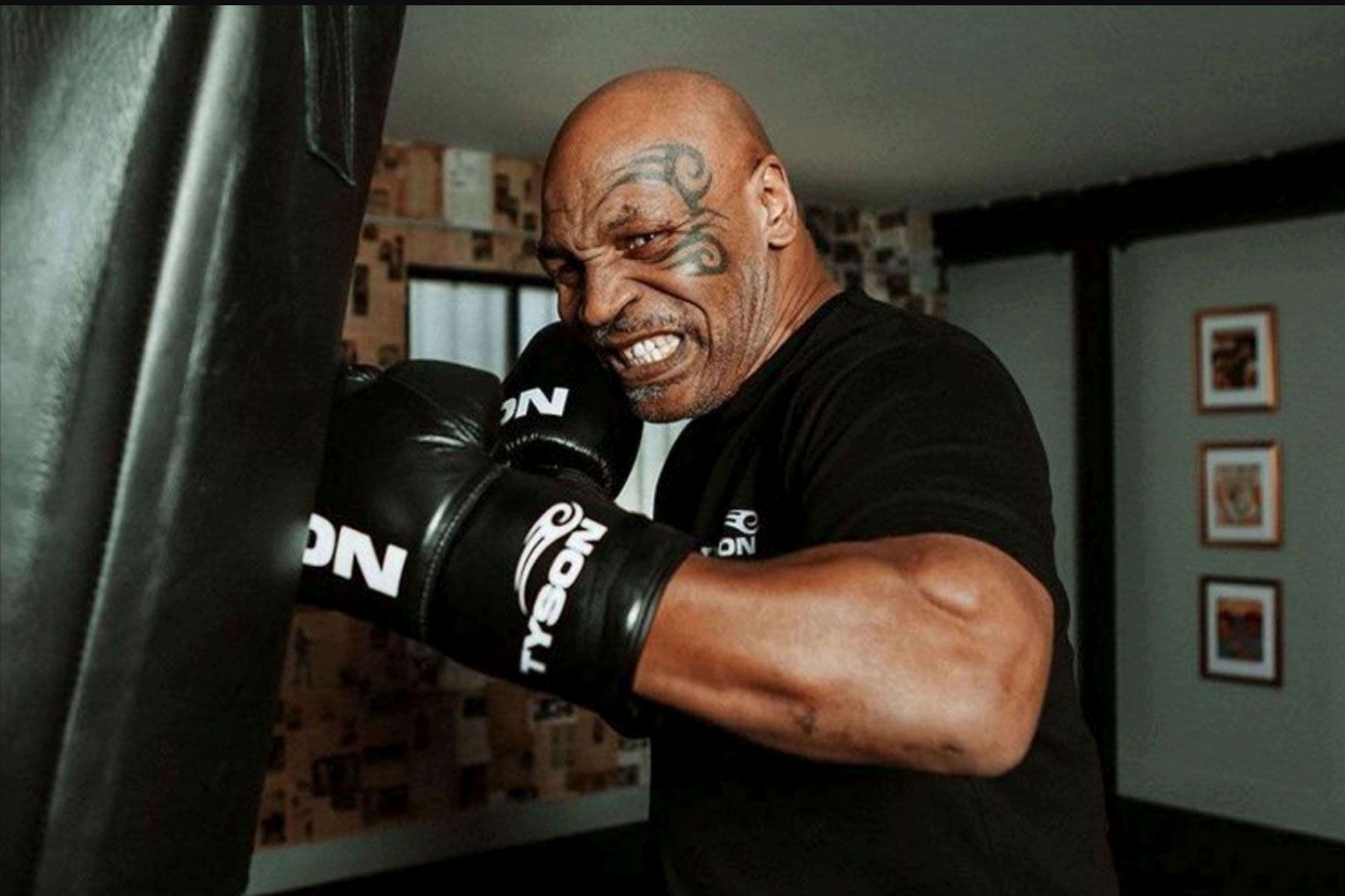 mike-tyson-67406ace34afc
