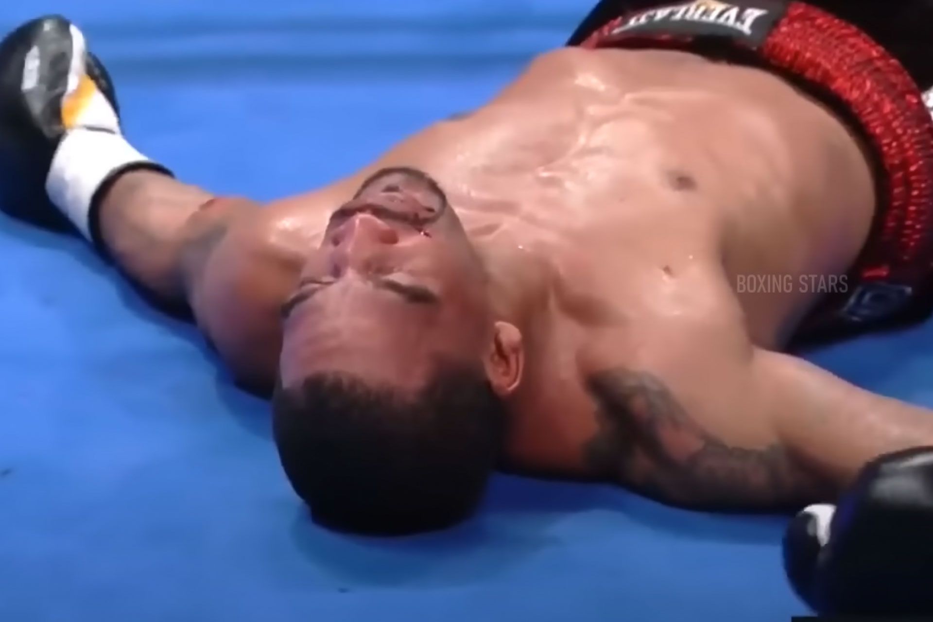 knockouts-676f29f33c240