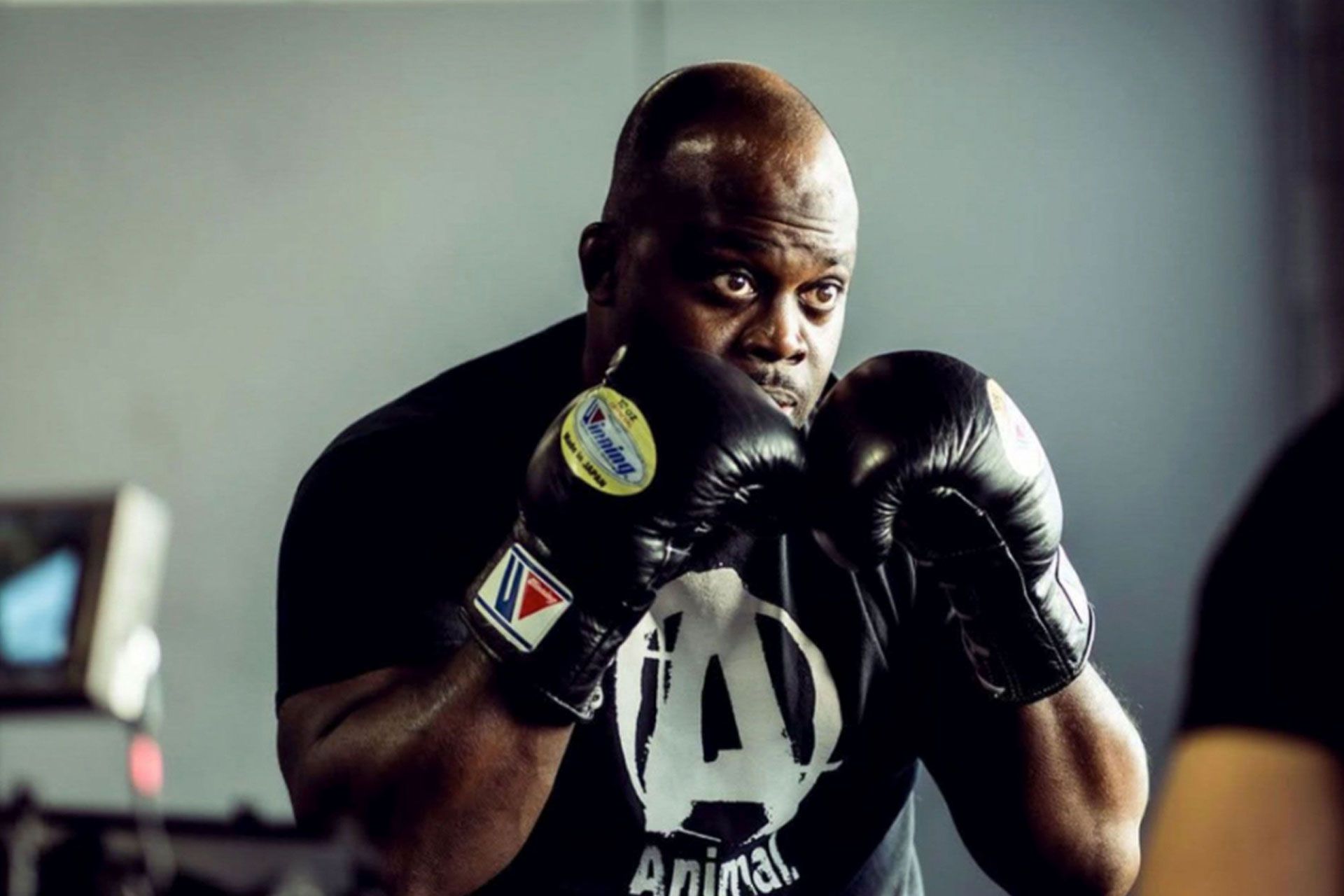 melvin-manhoef-675f481557a65