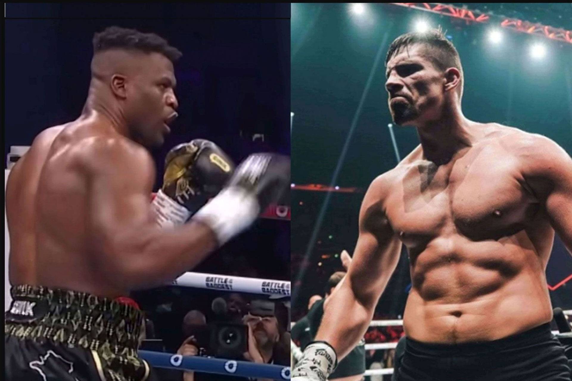 francis ngannou