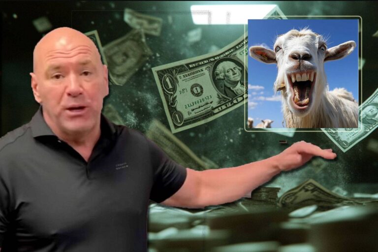 dana-white-67a2f912c7c3d-768x512