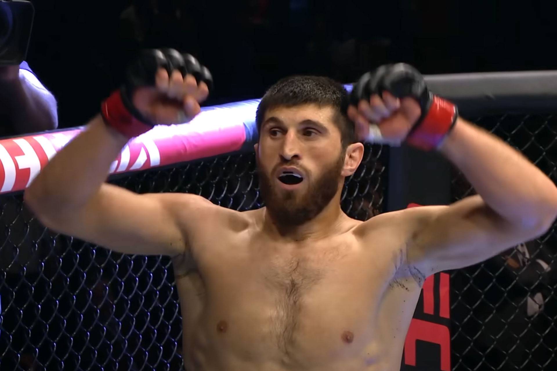 magomed-ankalaev-67c72cbbb9cc5