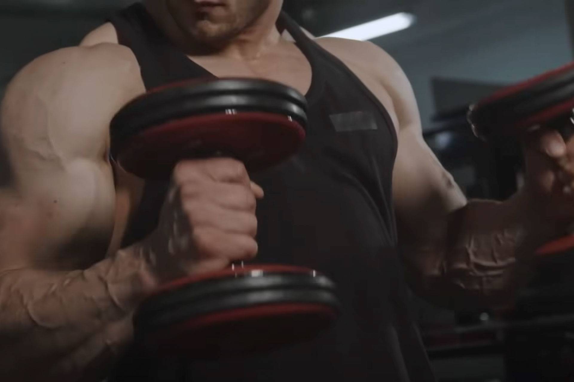 muscle-67e9a8e1d48c1