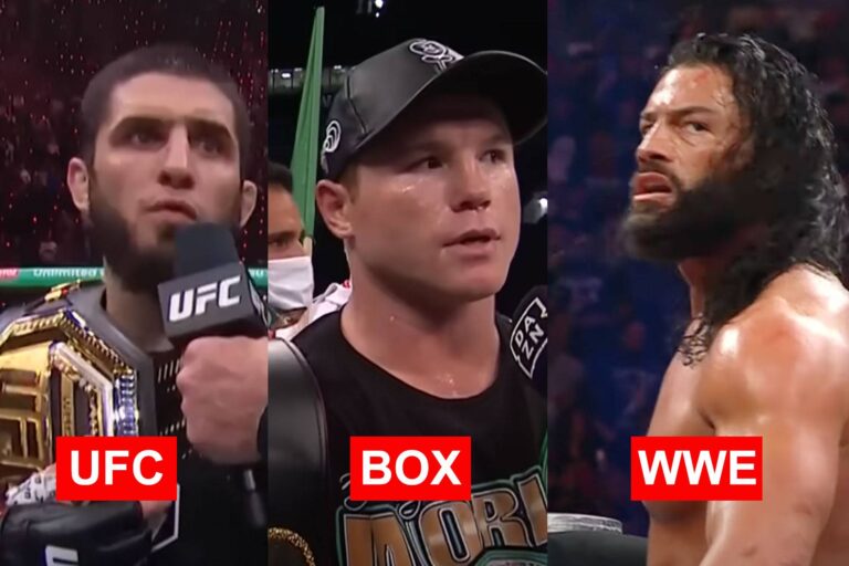 ufc-wwe-67d35ef37025c-768x512