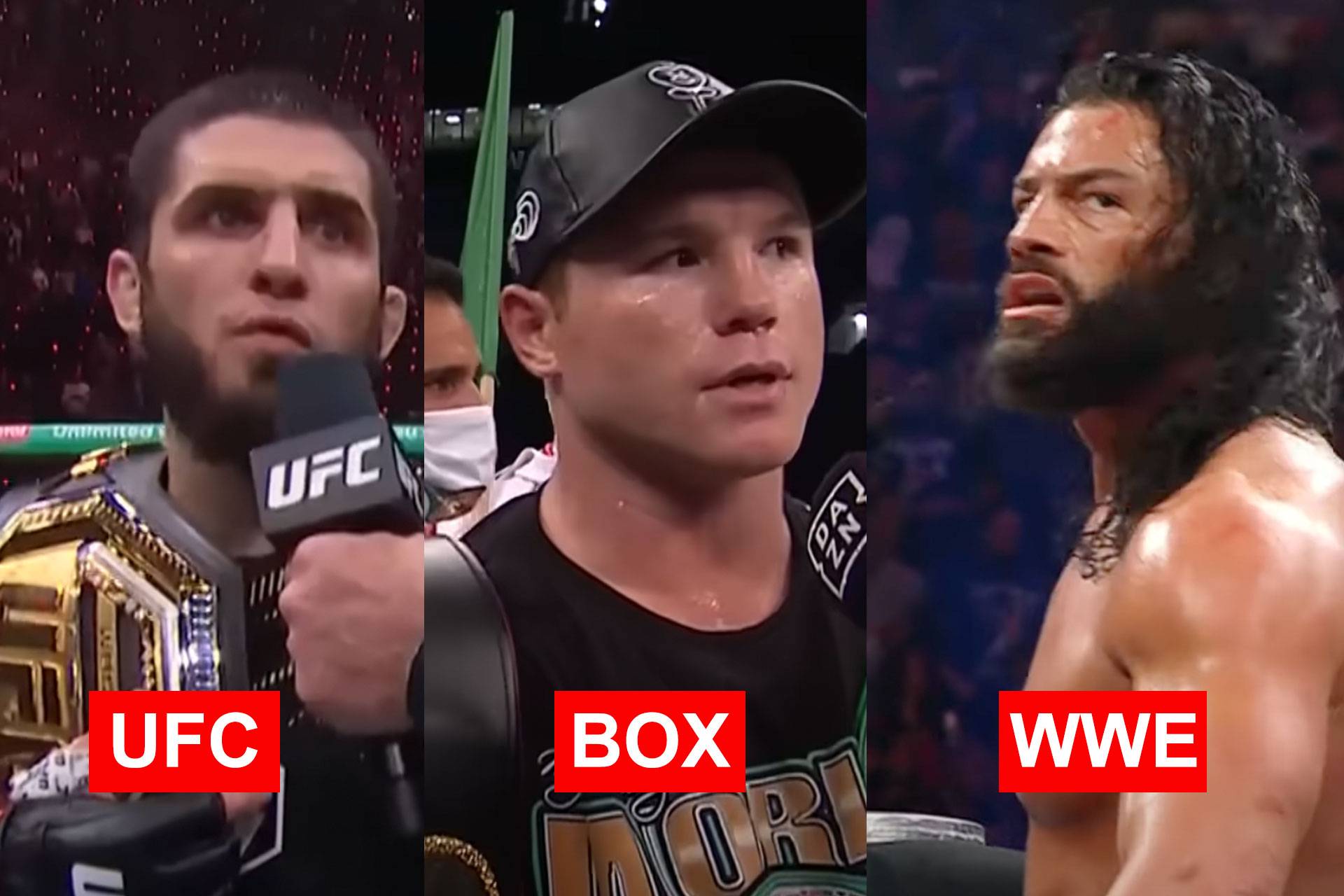 ufc-wwe-67d35ef37025c