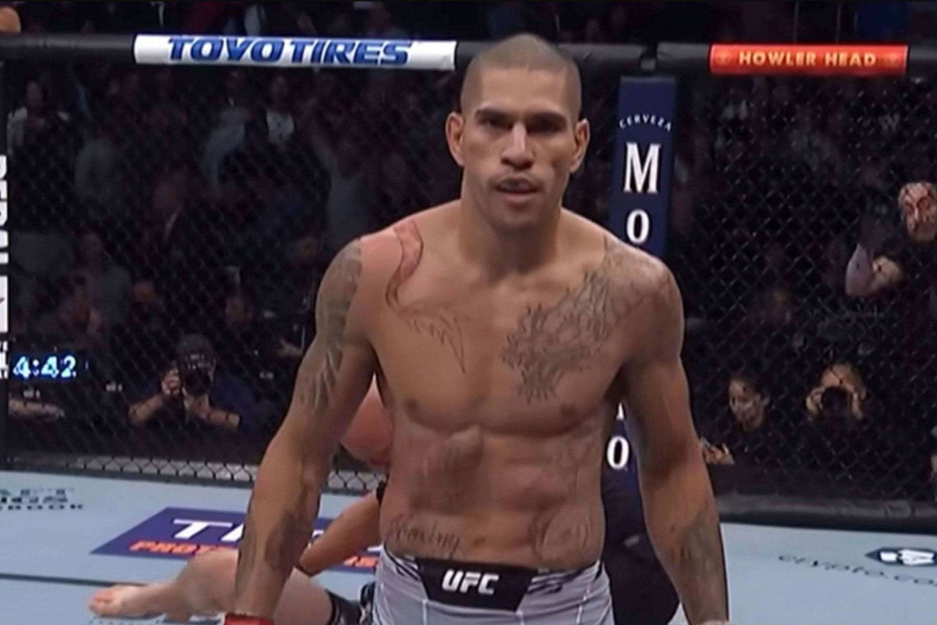 alex pereira